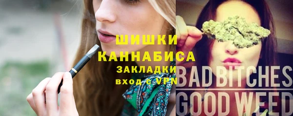 прущие грибы Баксан