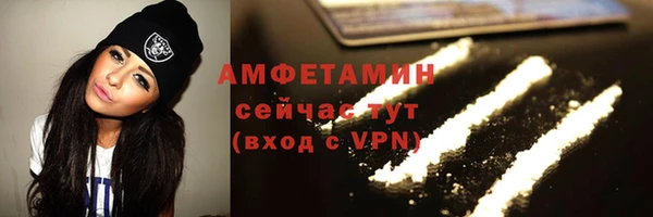 прущие грибы Баксан