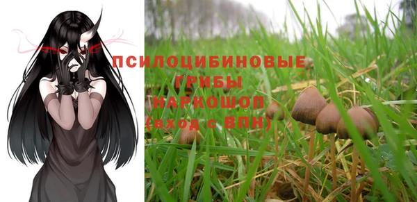 прущие грибы Баксан