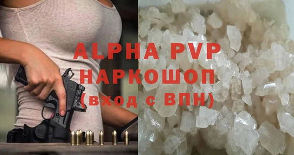 прущие грибы Баксан