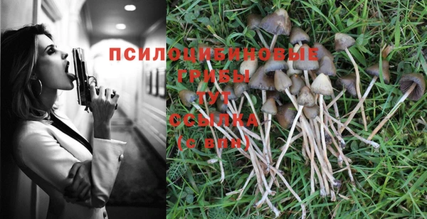 2c-b Балахна