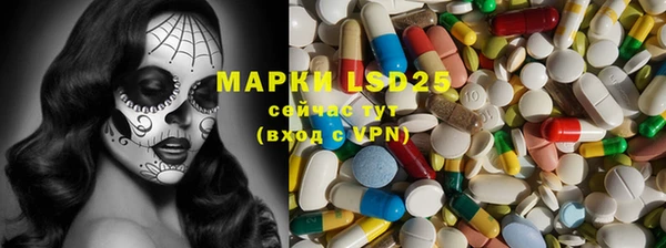 прущие грибы Баксан