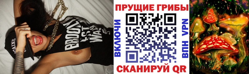 Псилоцибиновые грибы Magic Shrooms  гидра как войти  Шебекино 